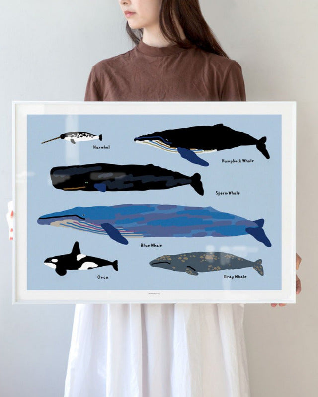 【バーンストア】WARMGREY TAIL / WHALES POSTER 500mm x 700mm