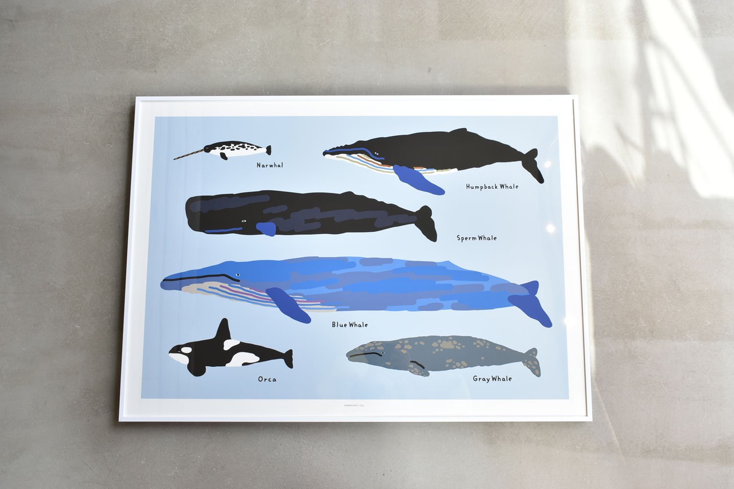 WARMGREY TAIL(ウォームグレーテール)/ WHALES POSTER 500mm x 700mm WA210103【バーンストア】