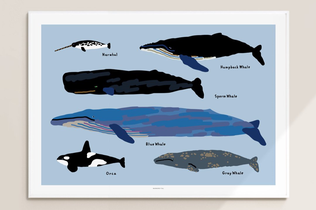 WARMGREY TAIL(ウォームグレーテール)/ WHALES POSTER 500mm x 700mm WA210103【バーンストア】