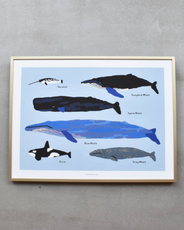 【バーンストア】WARMGREY TAIL / WHALES POSTER 300mm x 400mm WA21343/WA21150