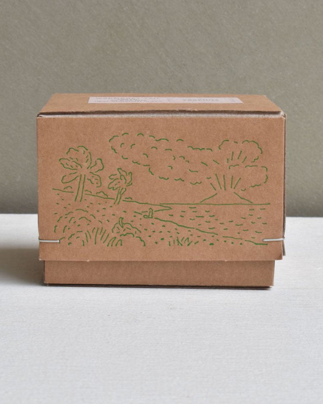 【バーンストア】WARMGREY TAIL / SAVANNA TROPICAL MINI CUP