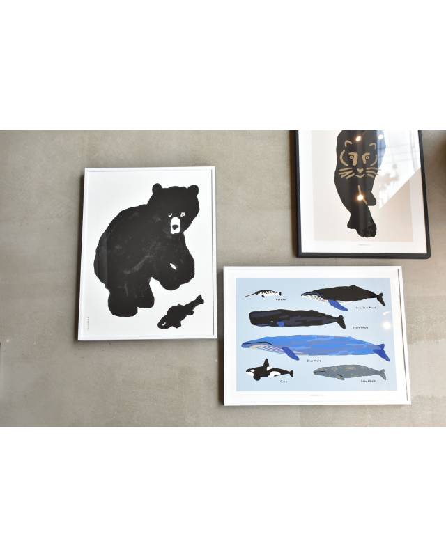 【バーンストア】WARMGREY TAIL / WHALES POSTER 300mm x 400mm WA21343/WA21150