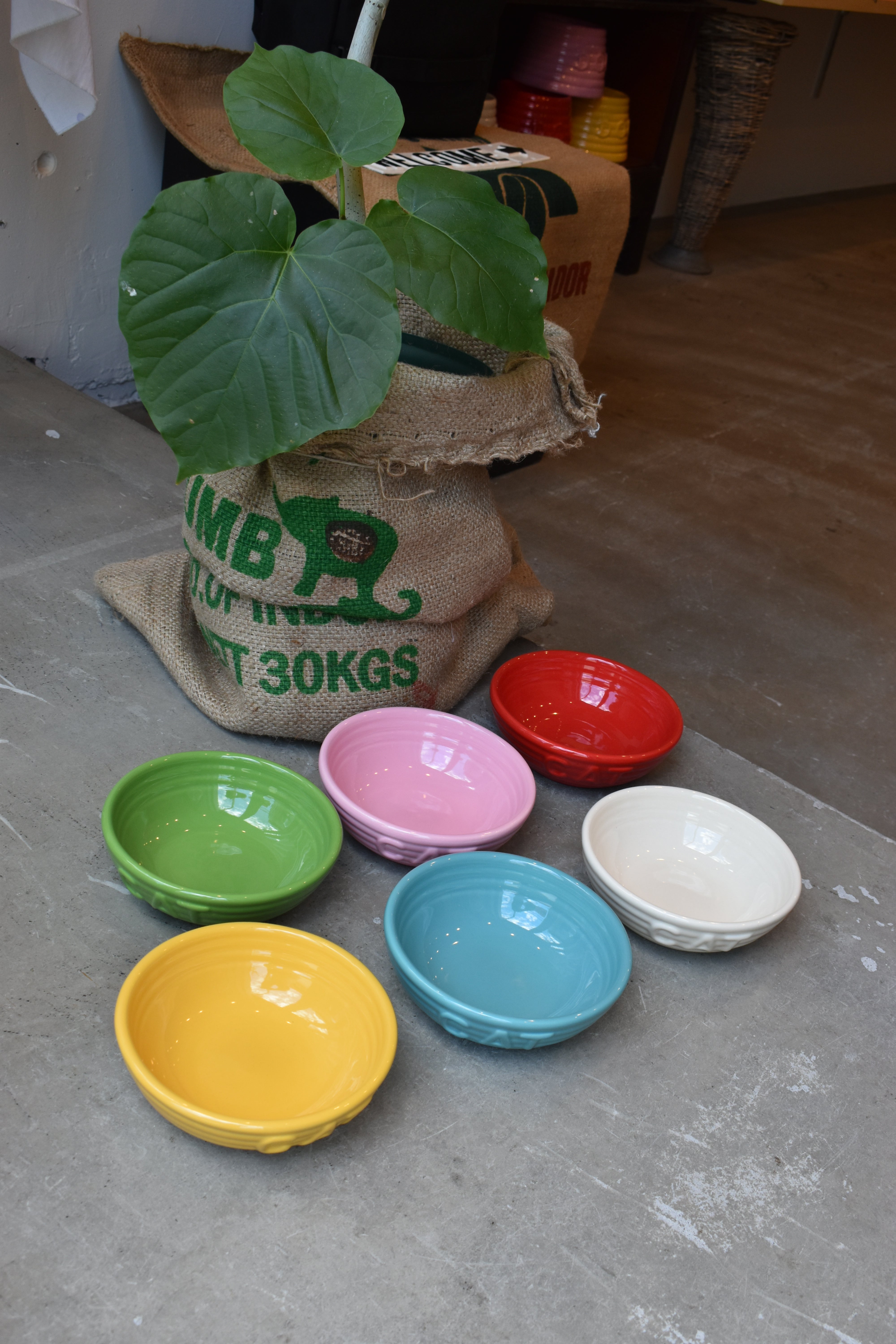 Bauer Pottery Monterey Cat Dish【サラダボゥル】