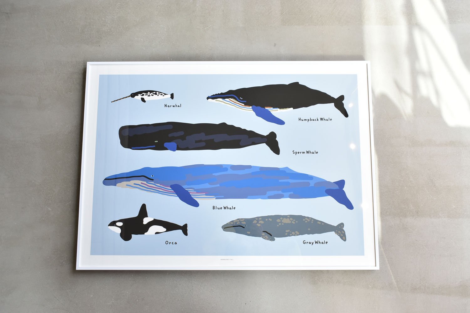 【バーンストア】WARMGREY TAIL / WHALES POSTER 500mm x 700mm