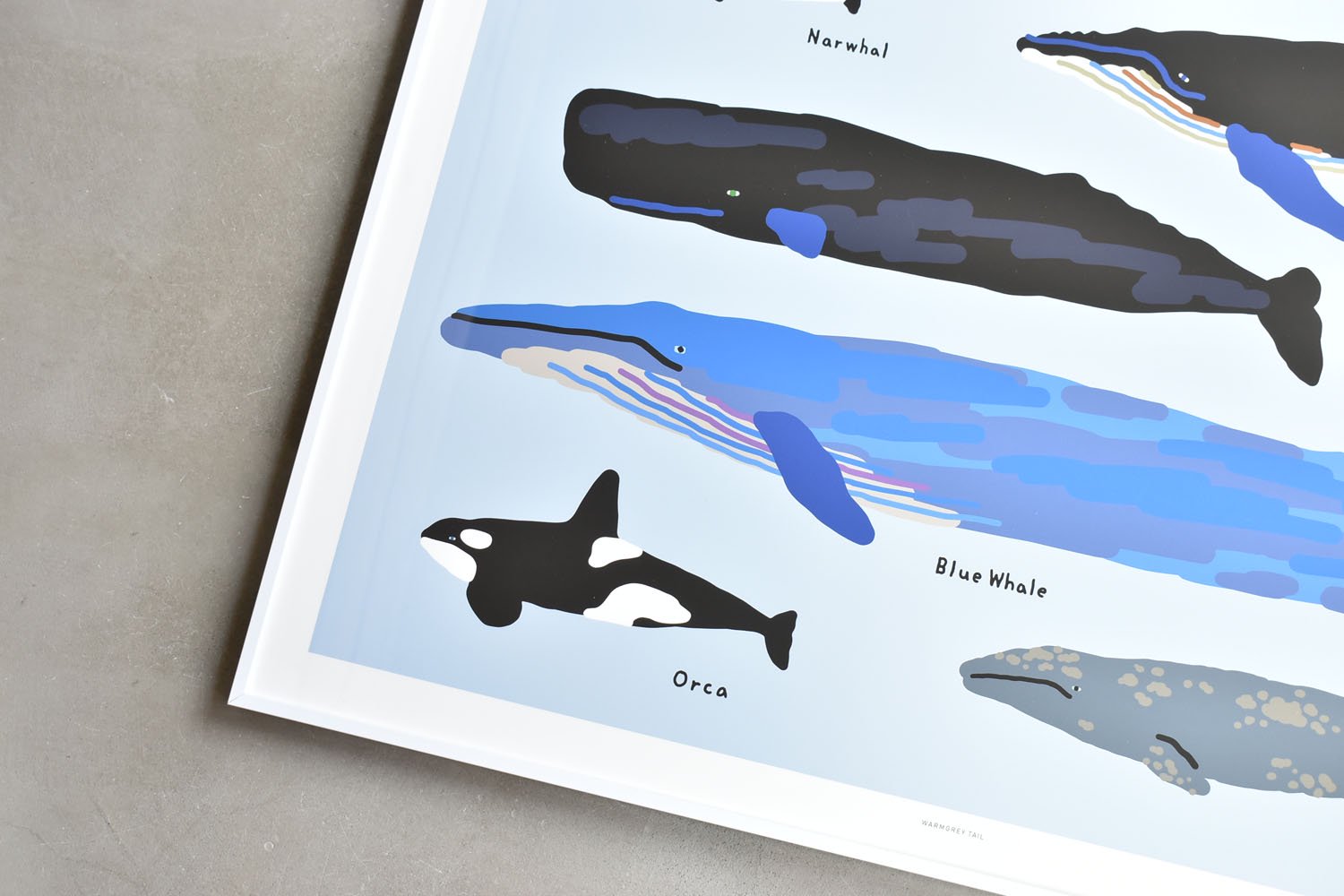 【バーンストア】WARMGREY TAIL / WHALES POSTER 500mm x 700mm