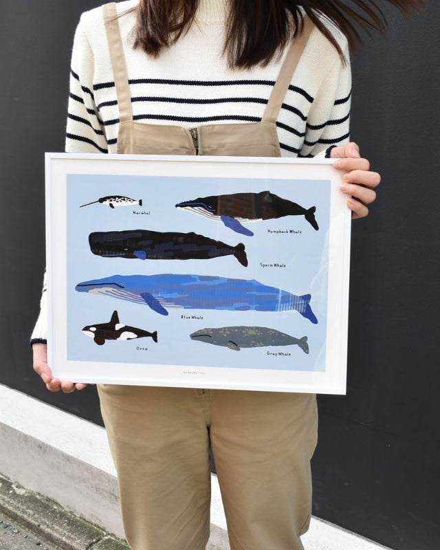 【バーンストア】WARMGREY TAIL / WHALES POSTER 300mm x 400mm WA21343/WA21150