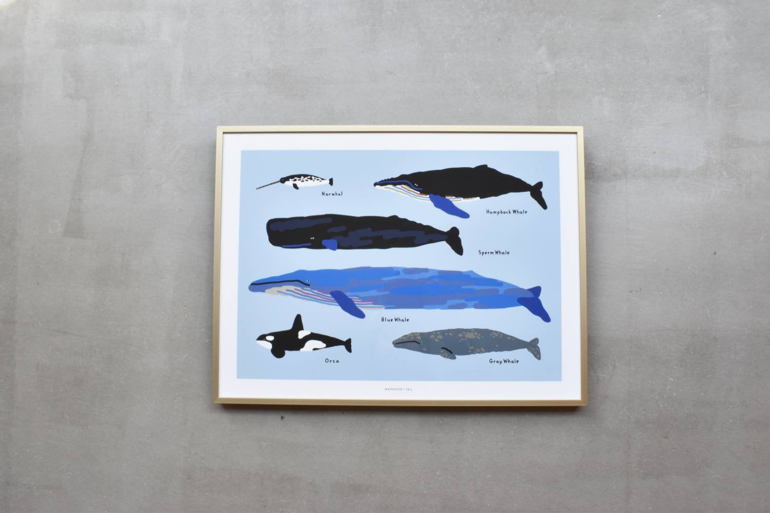 【バーンストア】WARMGREY TAIL / WHALES POSTER 300mm x 400mm