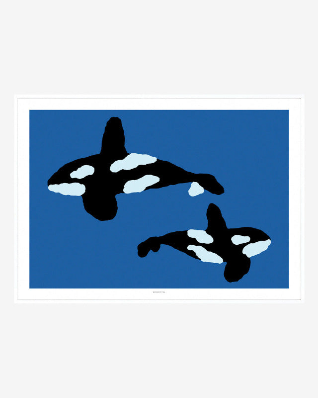 【バーンストア】WARMGREY TAIL / ORCA POSTER 500mm x 700mm