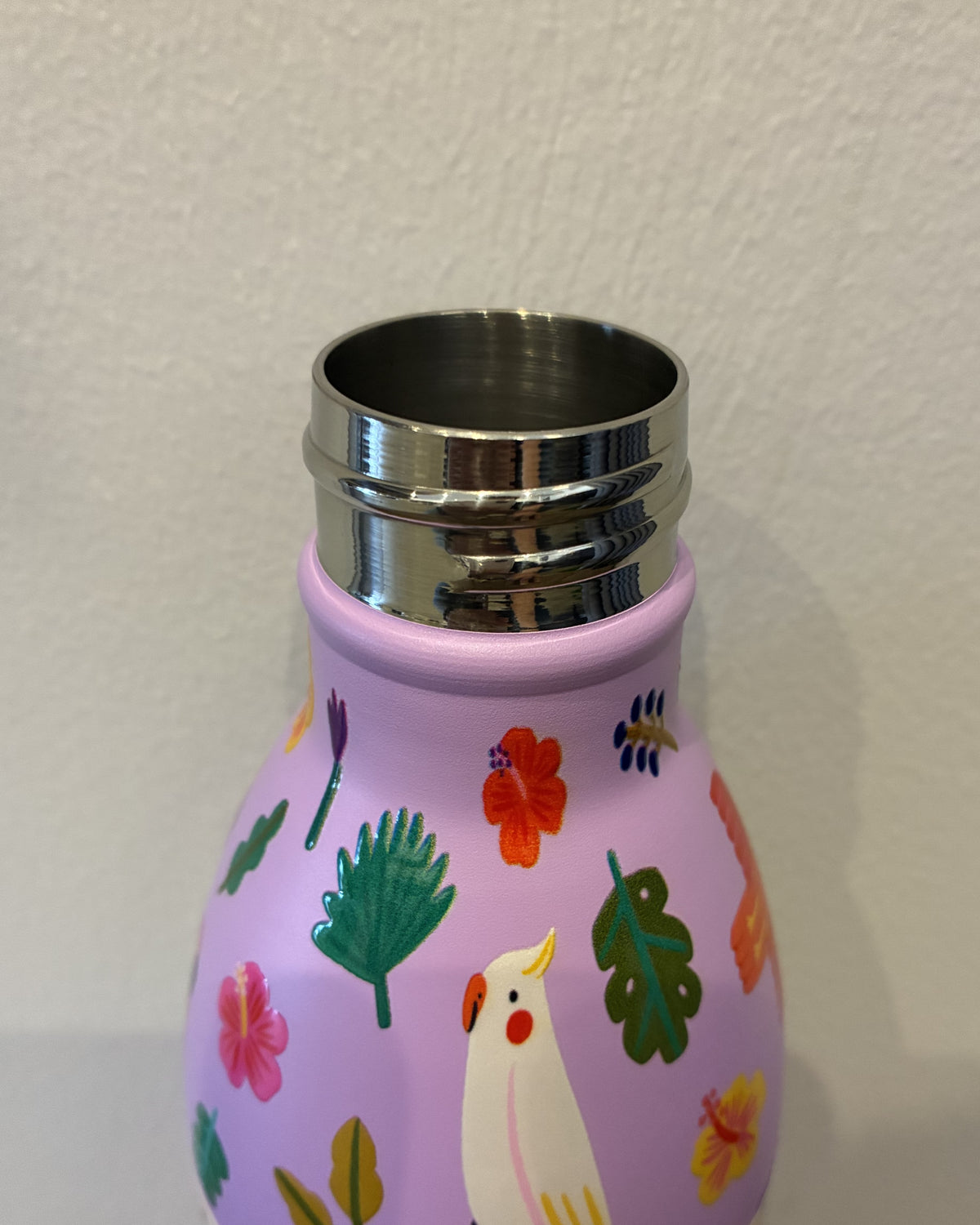 Cool Bottles（クールボトルズ） /  Cool Bottles Kids 500ml FRY FREE クールボトルズキッズ 500ml フライフリー 【サラダボゥル】