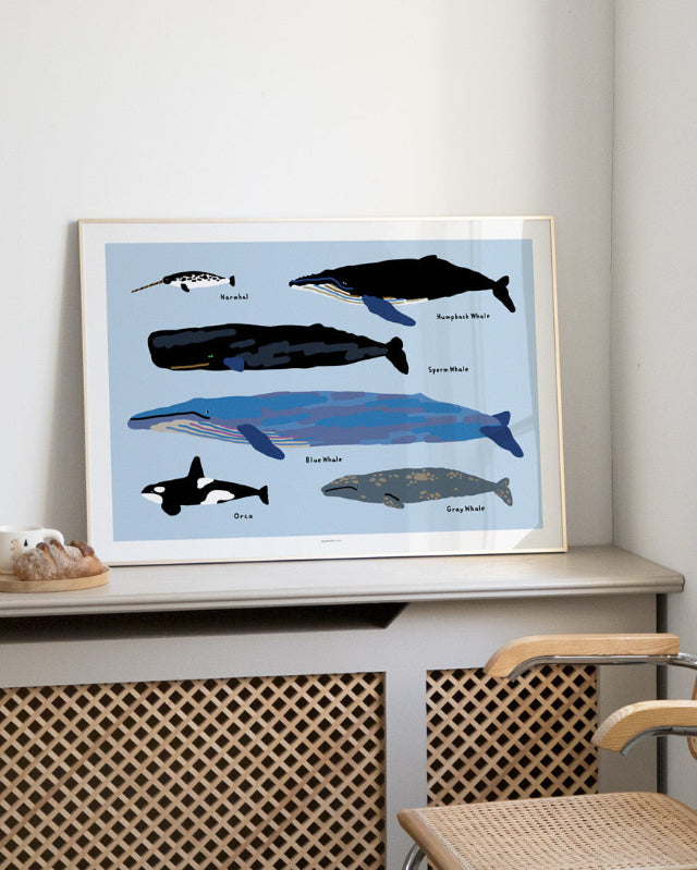 【バーンストア】WARMGREY TAIL / WHALES POSTER 300mm x 400mm WA21343/WA21150